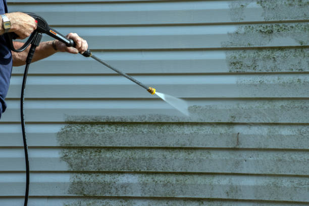 Best Window and Screen Pressure Cleaning in Randolph, WI